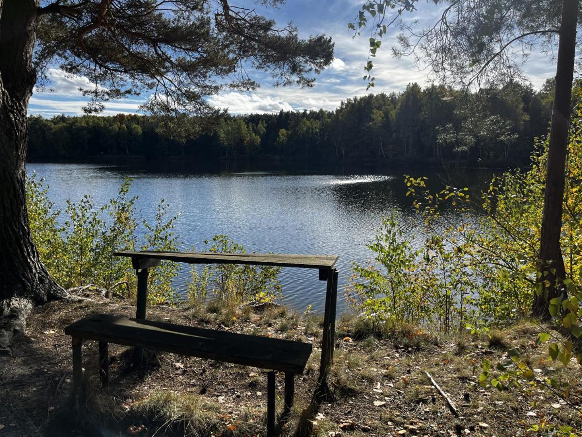 Ferienwohnung Am See Dillich - Ruhige Lage - Eigener Garten - Direkt Neben Einem Natursee Borken  Exteriér fotografie