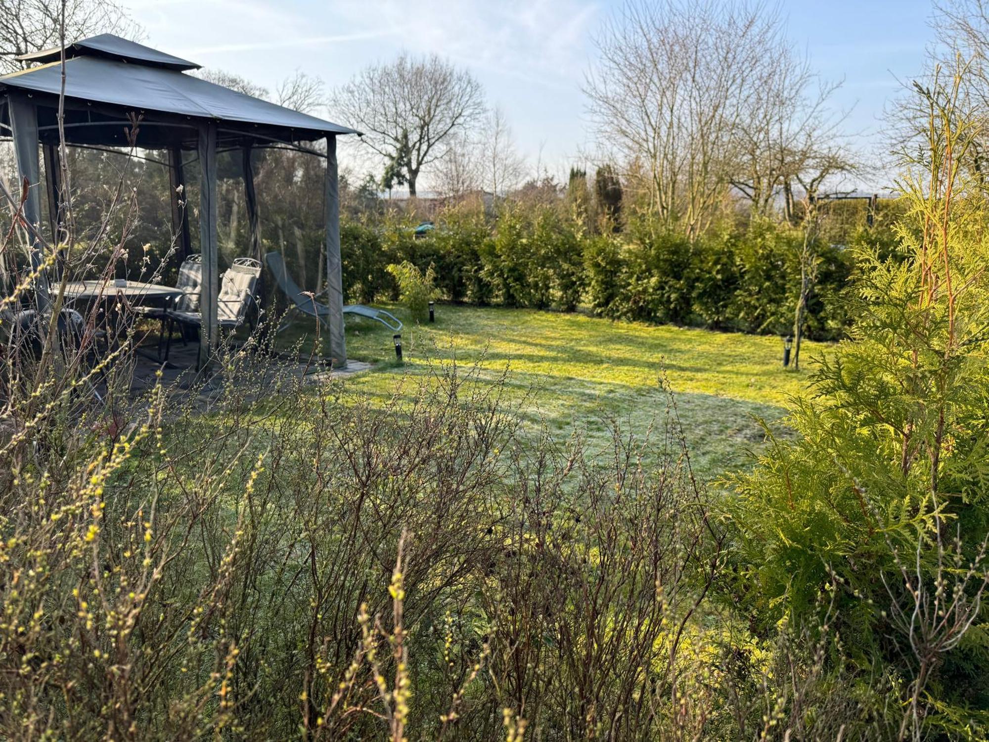 Ferienwohnung Am See Dillich - Ruhige Lage - Eigener Garten - Direkt Neben Einem Natursee Borken  Exteriér fotografie