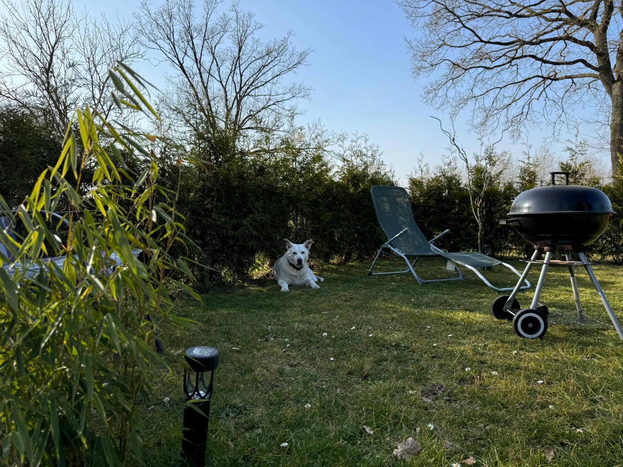 Ferienwohnung Am See Dillich - Ruhige Lage - Eigener Garten - Direkt Neben Einem Natursee Borken  Exteriér fotografie