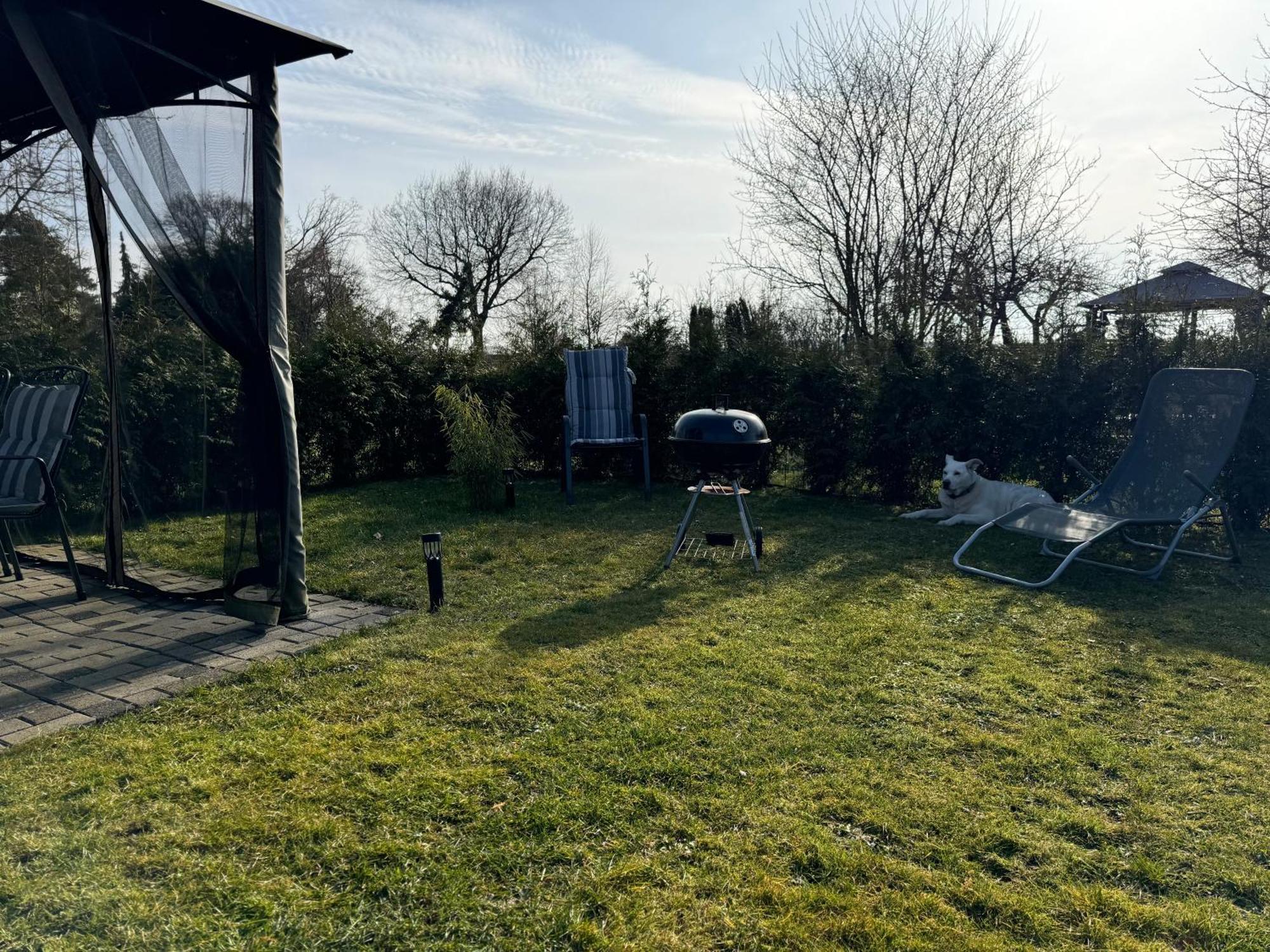 Ferienwohnung Am See Dillich - Ruhige Lage - Eigener Garten - Direkt Neben Einem Natursee Borken  Exteriér fotografie