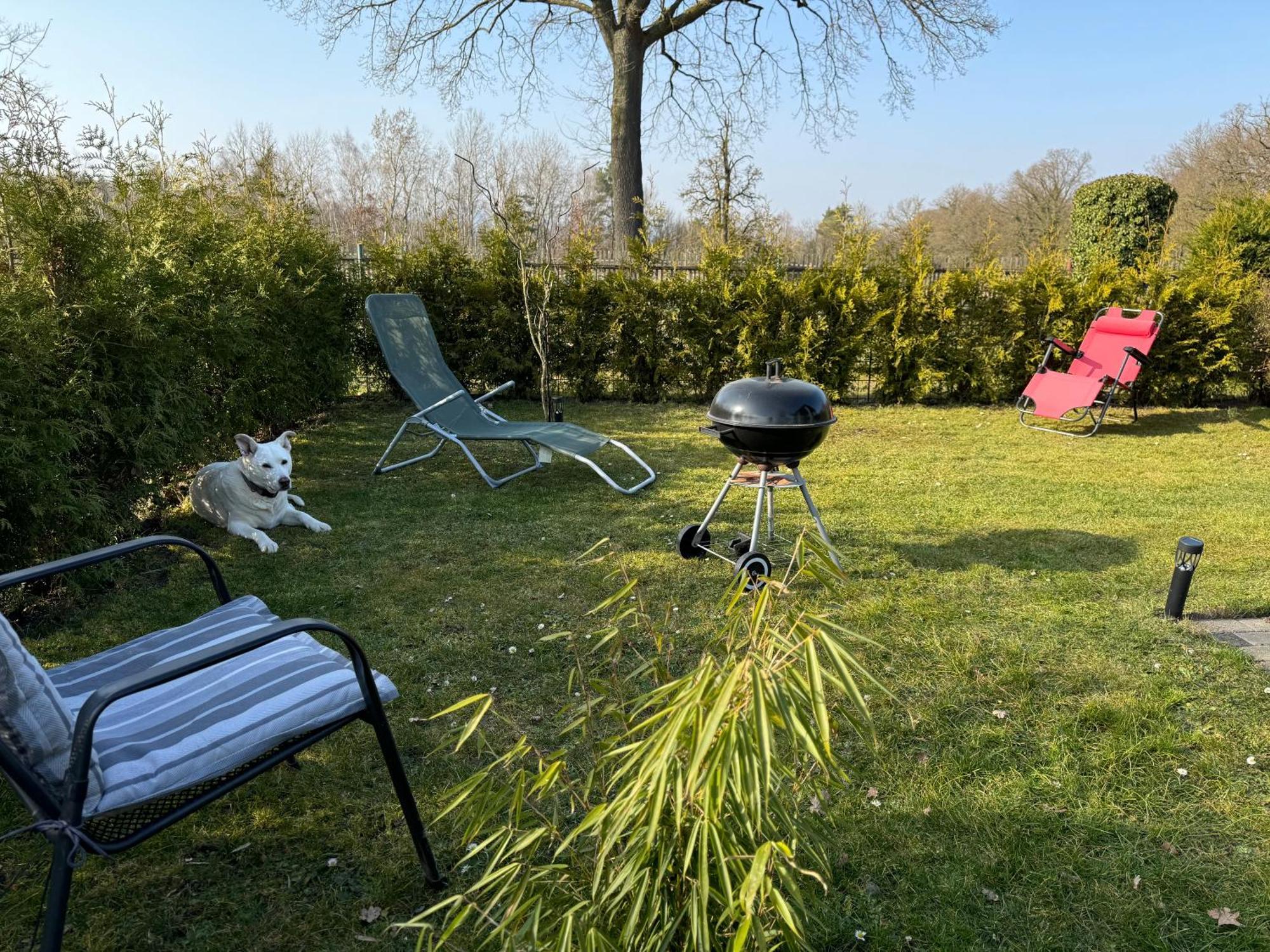 Ferienwohnung Am See Dillich - Ruhige Lage - Eigener Garten - Direkt Neben Einem Natursee Borken  Exteriér fotografie