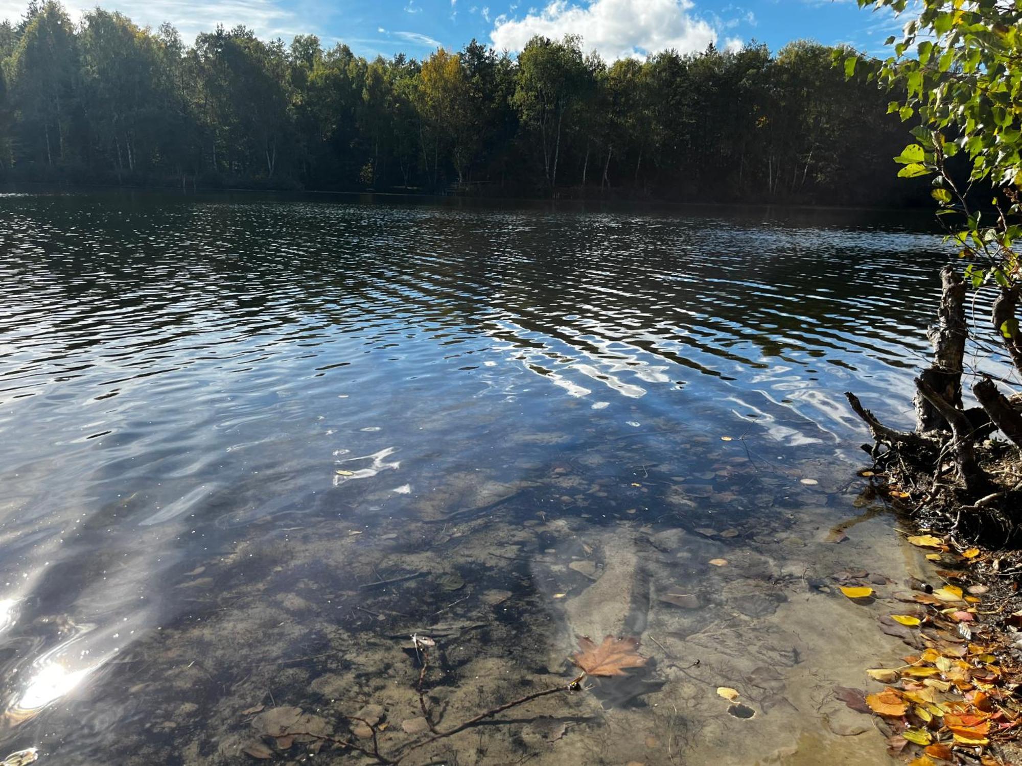 Ferienwohnung Am See Dillich - Ruhige Lage - Eigener Garten - Direkt Neben Einem Natursee Borken  Exteriér fotografie