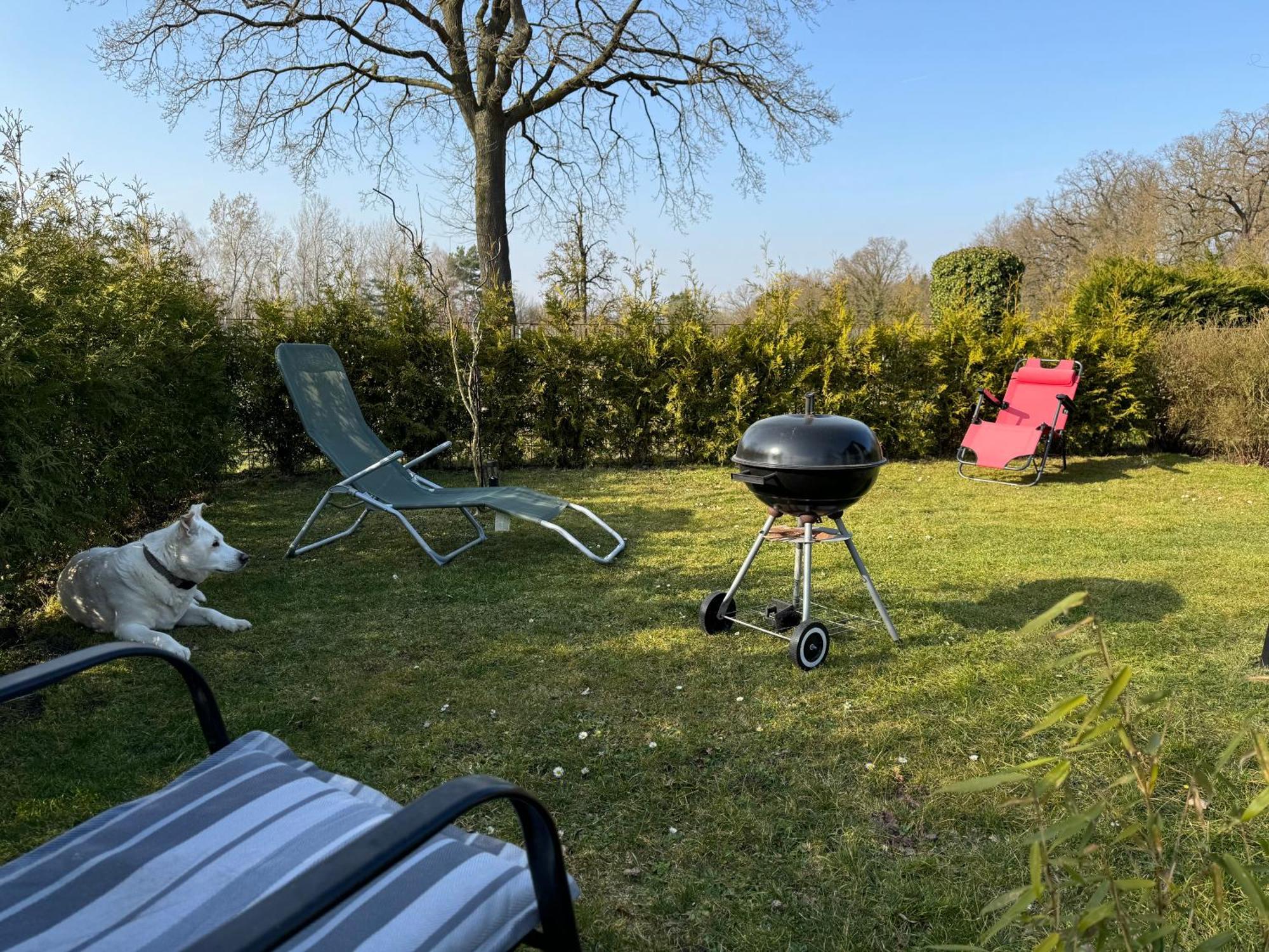 Ferienwohnung Am See Dillich - Ruhige Lage - Eigener Garten - Direkt Neben Einem Natursee Borken  Exteriér fotografie