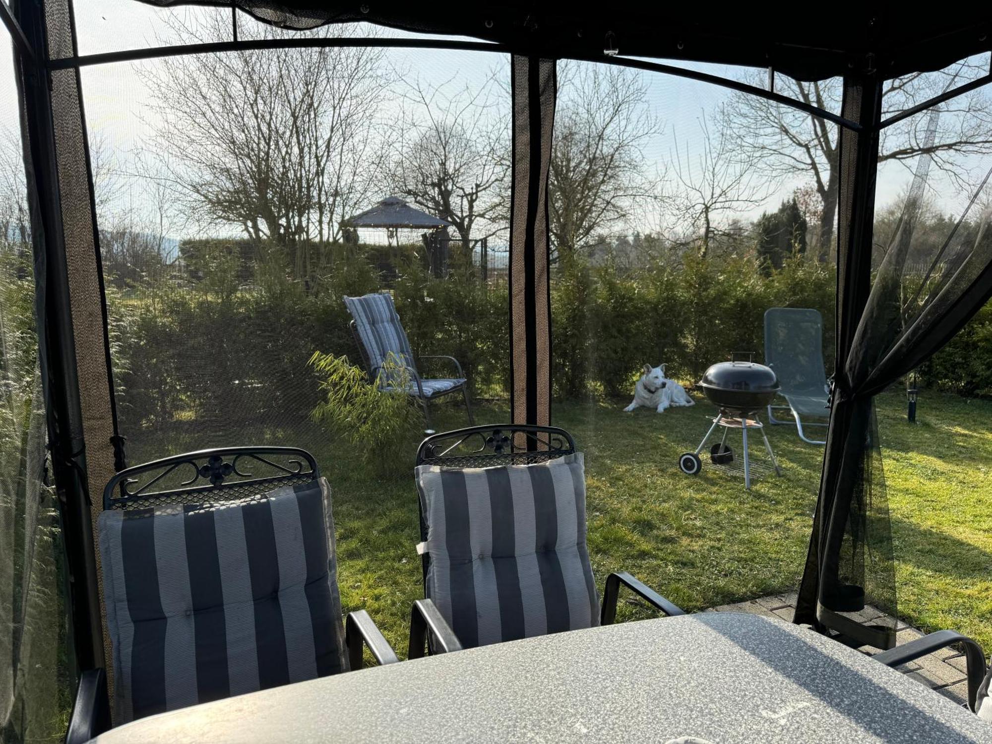 Ferienwohnung Am See Dillich - Ruhige Lage - Eigener Garten - Direkt Neben Einem Natursee Borken  Exteriér fotografie
